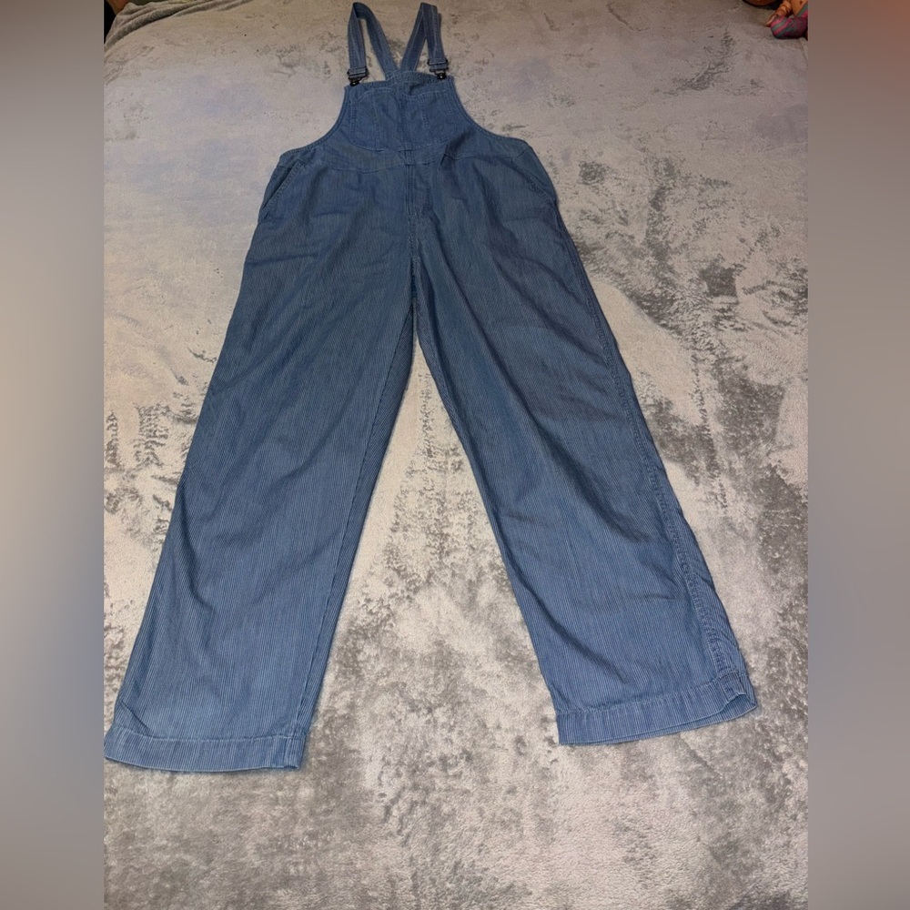 Aerie Striped Blue Overalls